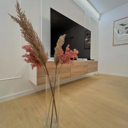 Apartman Premium Anemar