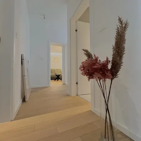 Premium Anemar Zadar