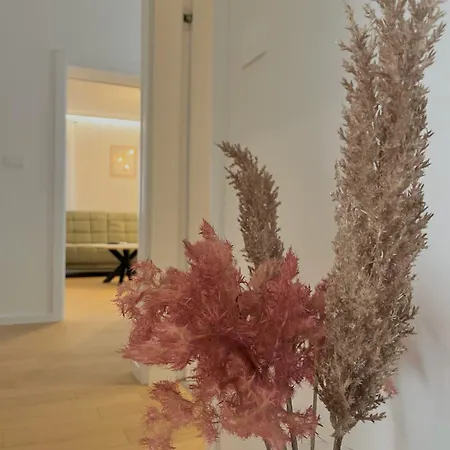 Apartmán Premium Anemar *