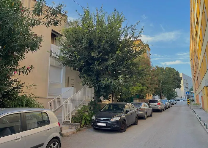 Premium Anemar * Zadar