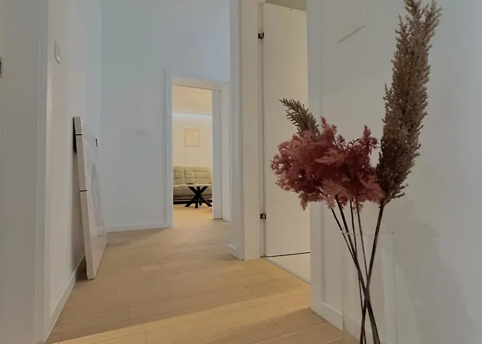 Premium Anemar Zadar